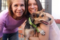 Final-Feliz-Honey